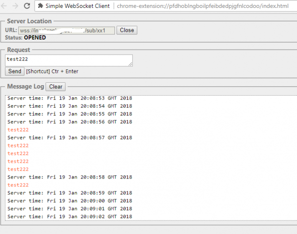 !WebSocket Proxy Success