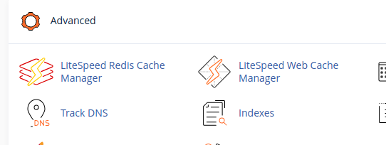 !User-end CPanel Plugin Icon In CPanel User Dashboard