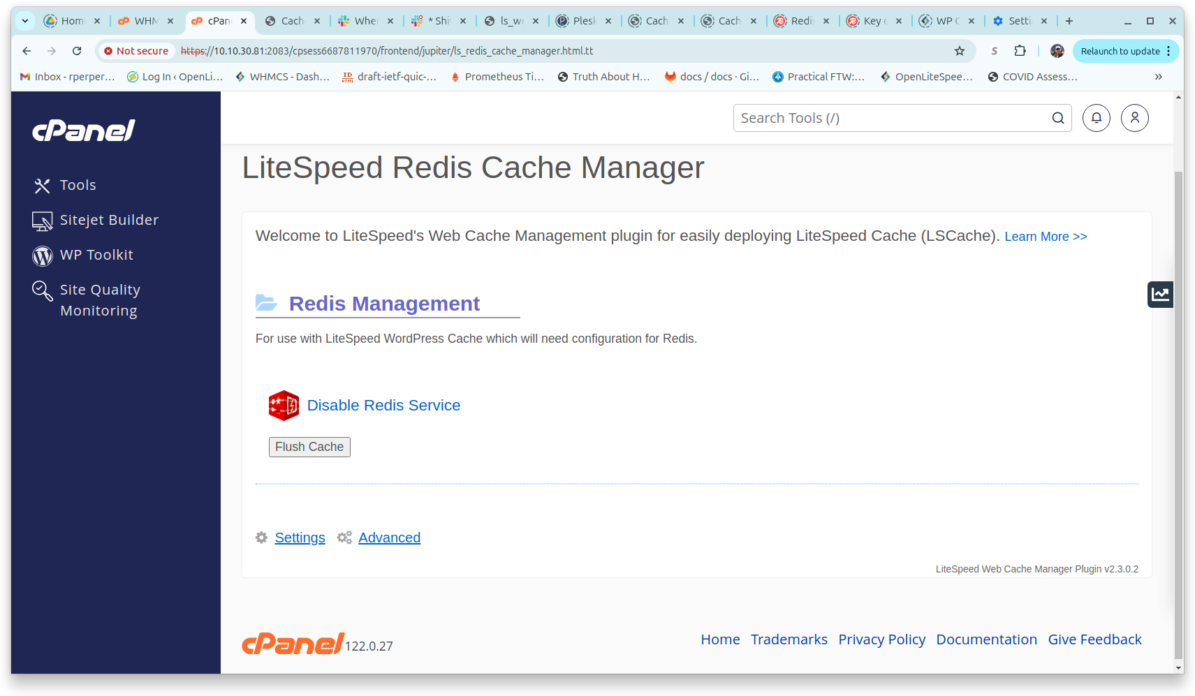 !CPanel Plugin "Redis Cached Manager" Page